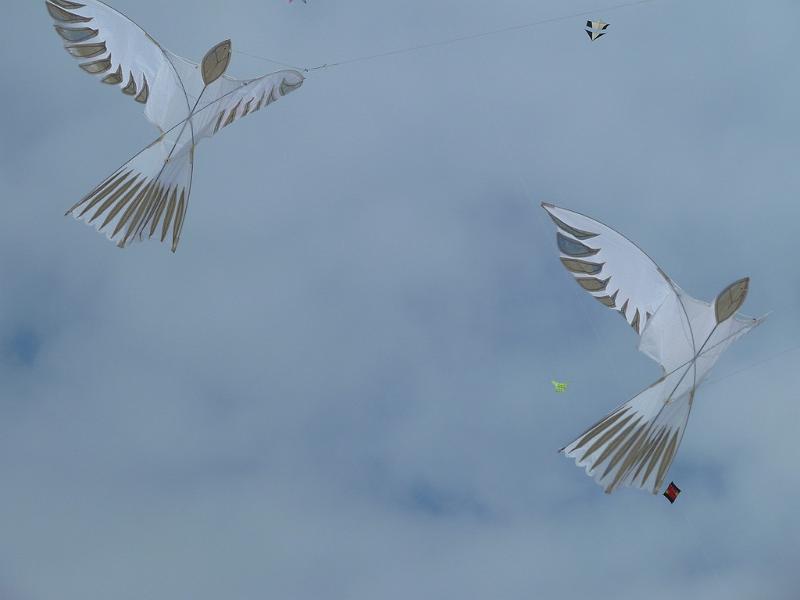 Fanø 2010 092.JPG